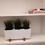 Apartmán Zoe Poreč